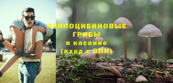 герыч Зерноград