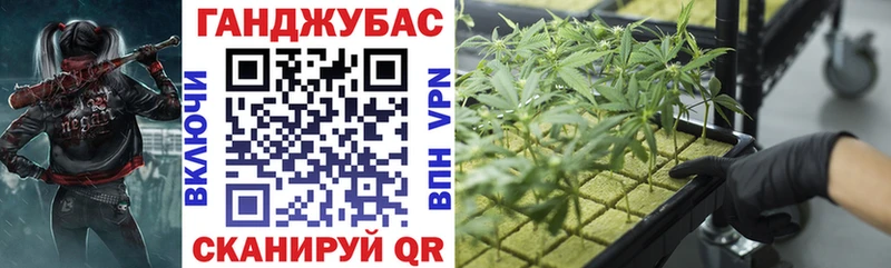 как найти   Иркутск  Бошки Шишки гибрид 